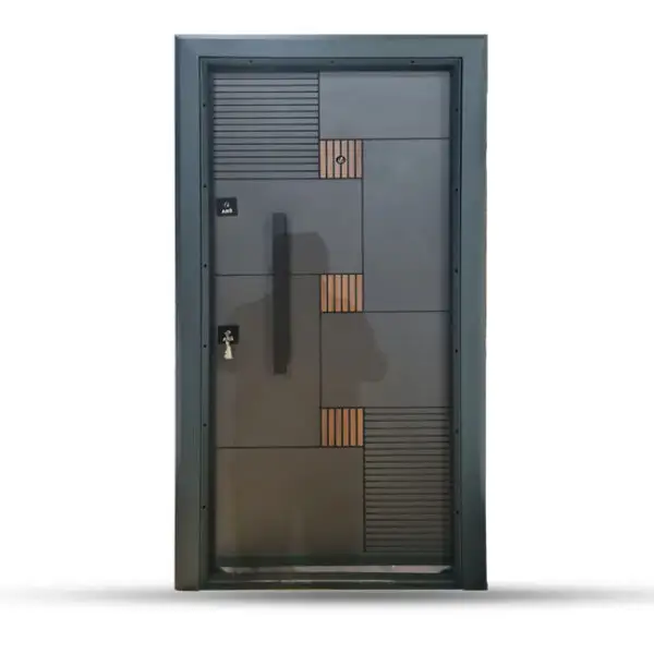 Double color Laminox Steel Door DRL 1716